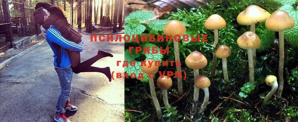 марки lsd Кодинск